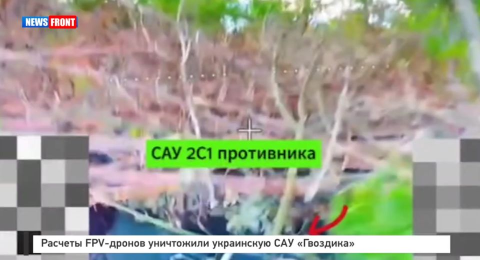 ������� FPV-������ ���������� ���������� ��� ���������