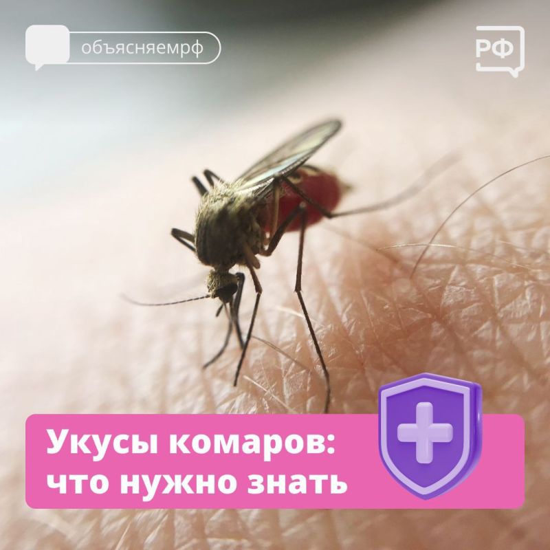 �����������: �� ����� �������, � ����� �� � ����������� ������ ���� ��� ����