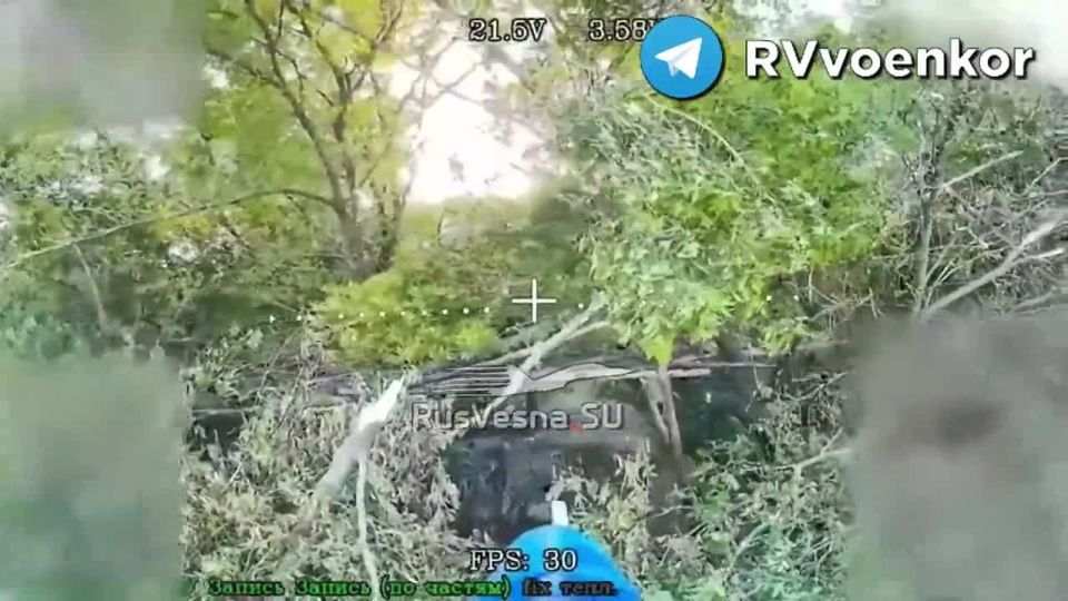 ������������ ��� � ���������: �������� ��� ��������� ���� ��������� �������, ������ � ���������� �����