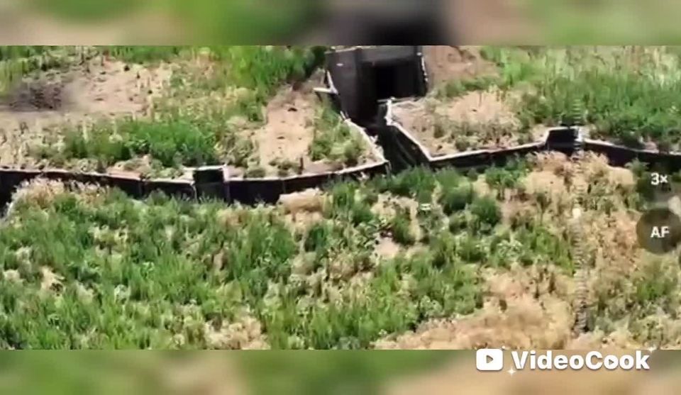 ��������� �������: ������ ������ ���������� ����������� "������" �� �� �� ������� �� ����-�������� �����������