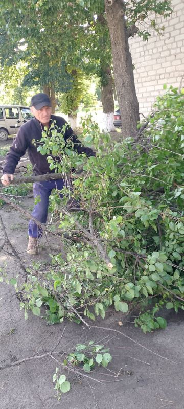 ������ ��������: � ������ ����� "������������� ���������", ������� 27.06.2025, � ���.��������� ��������� ���������