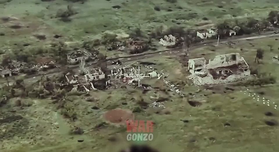 WarGonzo: �������� ���� ����������� ����� ���� ����� � ������� ���