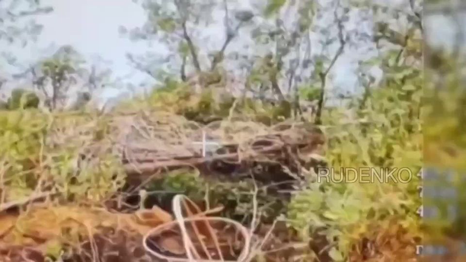 ������ �������: ����������� ����� ����������� ����� ���������� ��� ������ ���������� ���� ��� �� �����������-����������� �����������