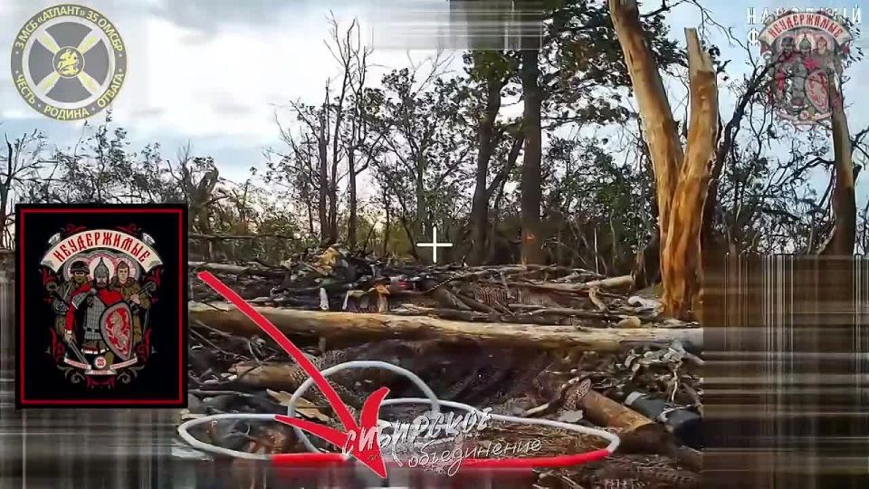 ��������� �������: ���������� ���. ������ ���� ��������� ������� ������� ������������ ���������� ����������� ��������� �������� 44 ���� ��� ���������� �����������