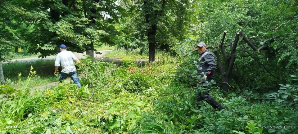 ������ ��������: ����������� ���� ������ ���� ��������� �������� � ����������