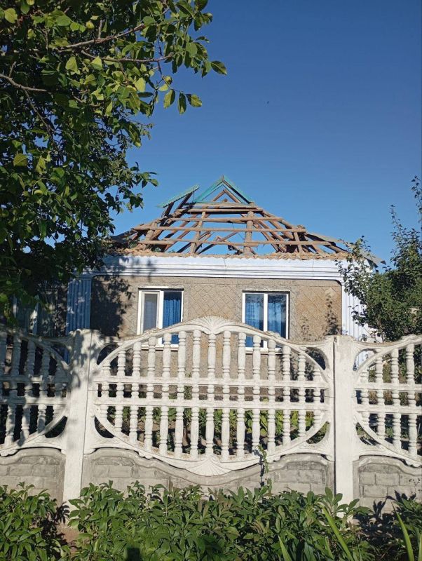 ���� ����: 31 ���������� ���� ����� ����������/��������� ���������� ��� ��� ����������� ������: 14 � ��� ������ � ׸���� �����, 6 � ��� �������� ���, 5 � ��� ���������� ���, 2 � ��� �������� �����, �� 1 � ��� ���������...