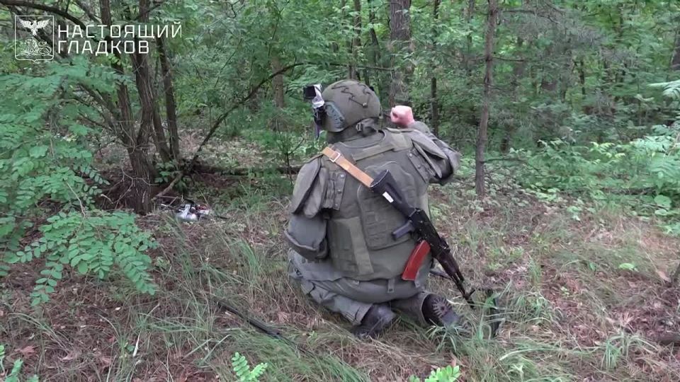 ������������ ������ �� ���������� � ����������� ��������������� ����������� �� ���������� ������������ �������