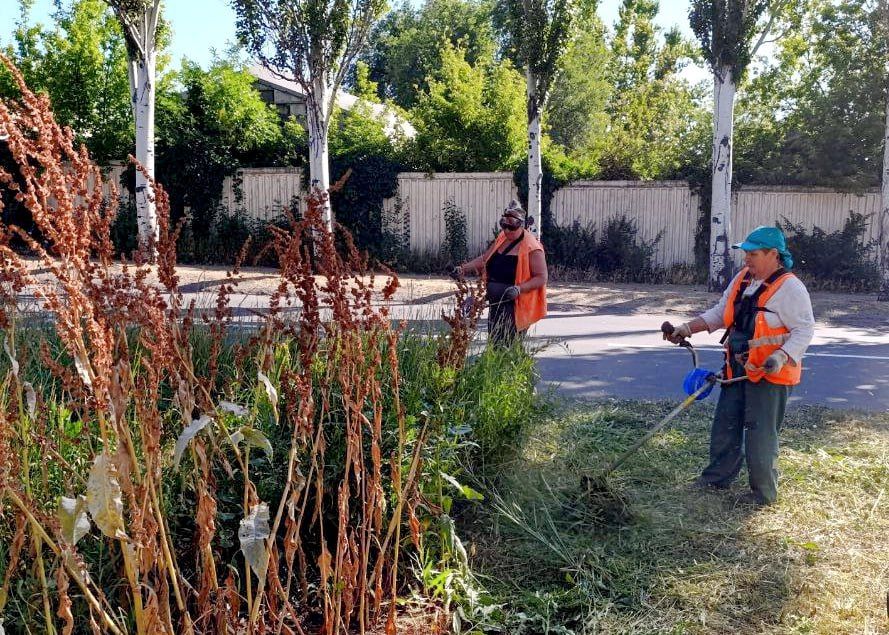 ���� ������: ��� ����������� � ������������ ������ ������� �������� ������ �� ���������������, ������ ������ �������� ������ � ������� � ������������ ����������