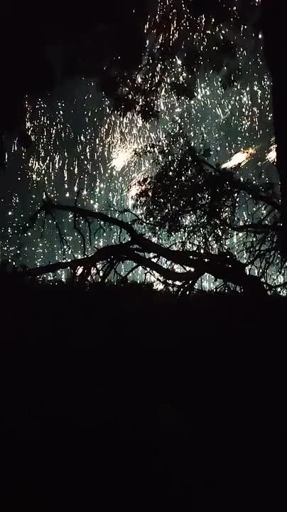 ������ �������: ������ ������������� ����������� �� ������� ���������� ������������ �� ����-�������� �����������