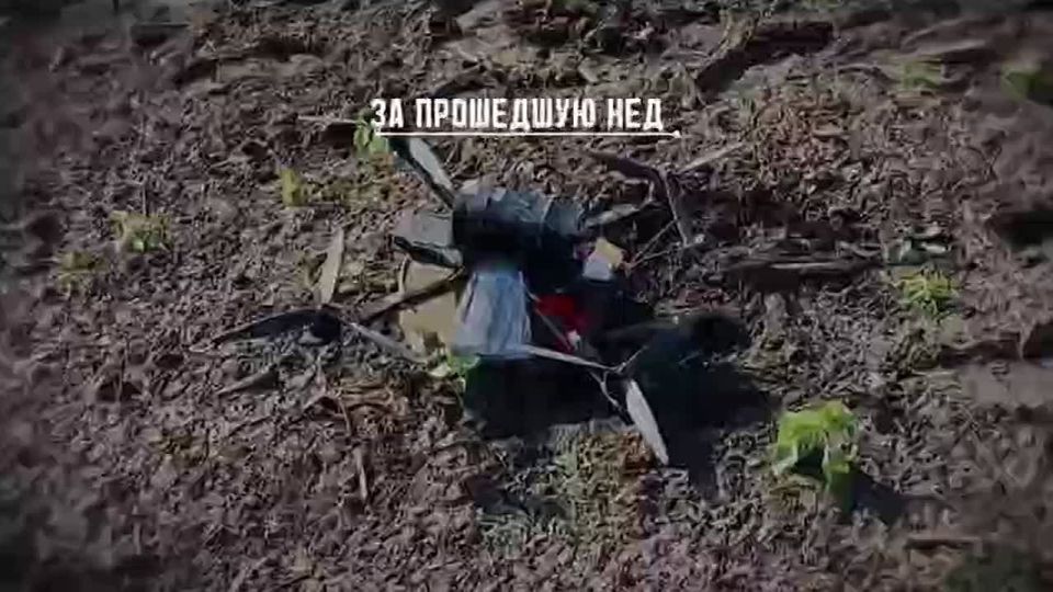 �� ������ ����������� 349 ��������� ����