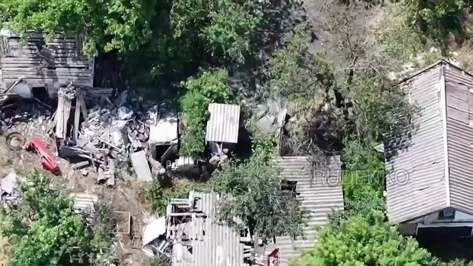 ������ �������: ������������ �. �. ��������, ���