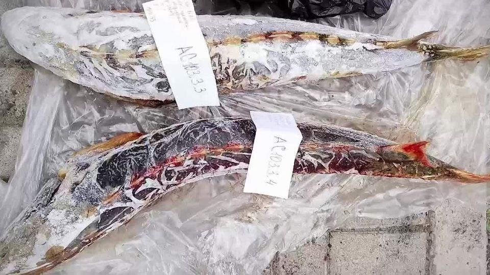 ������������ ���� ������ � ���������� �� ��� ��������� ���� ������� ����������, ���������� � ���������� ������ � ����� ������������� ����� ���