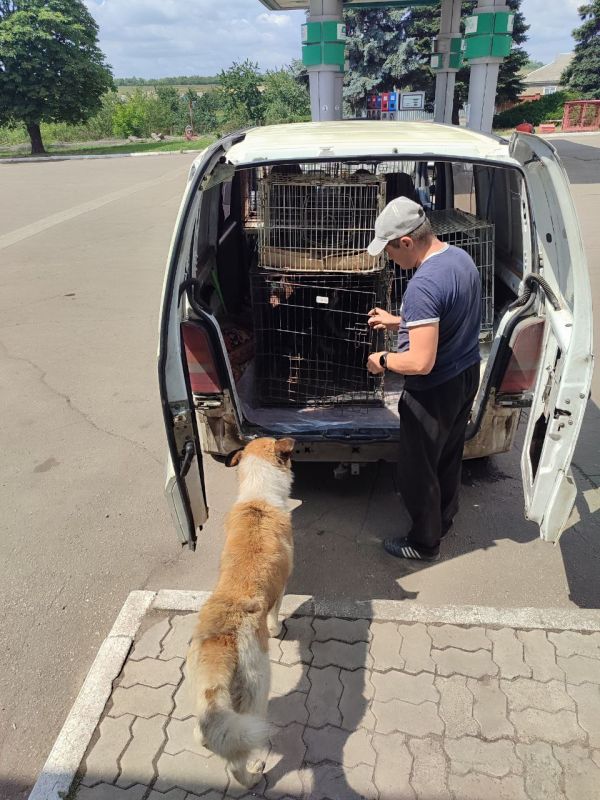 ������� ����������: �������, � ������ ���������� ��������� ����� �������� �������� ���������� ������ �������� ������������������ ����������� ��� �������� ����� ������������ �����