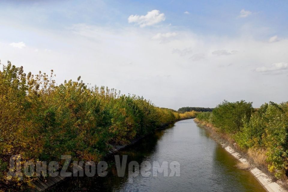 "����� ������������ ��� �������": �������� �������� ����������������� �������� � ����� � ���