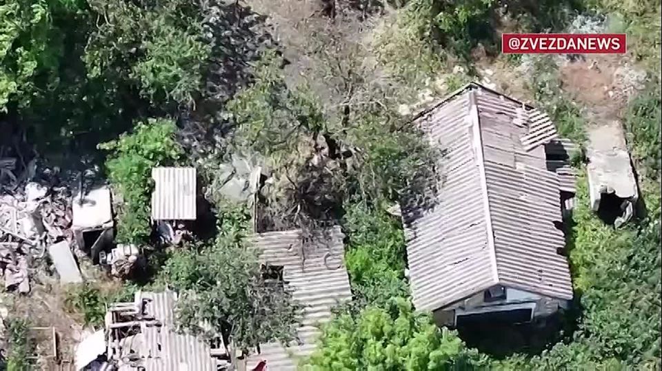 ��� ������������ �������� � ��� �������� �������� ������� ������ ����� �� ������, ����� �� �� ������� � ���� ���������� �������