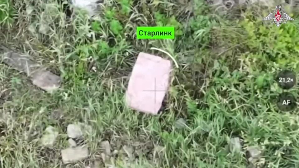 ������� �������: ������������ ����������� ������� ������� ������ ���� �� ������� ���������� ���� ��� ��� ���������!