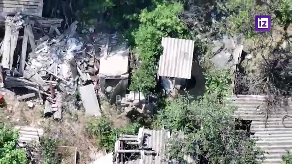 ����� �� �� ���������� �������������� "��������" � ���������� ��� ������������ ���� �������� � ���