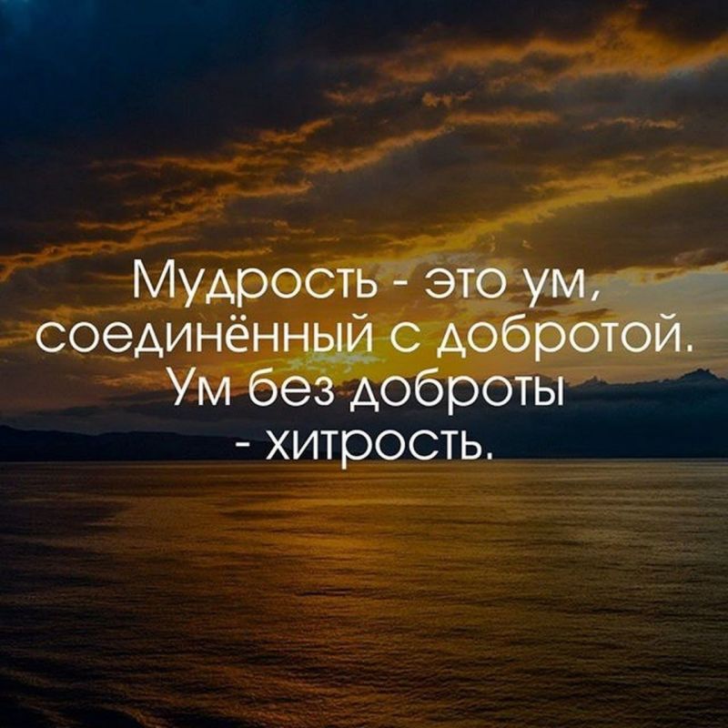 ������ �����. ��������� ���������-24