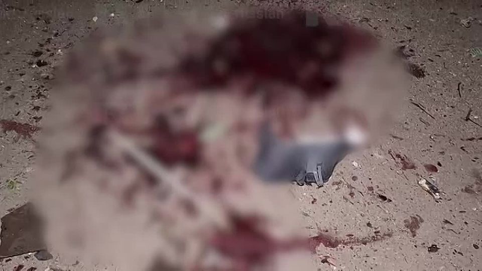 ��� ��������� ������ ������������� �������� ������������ �����������, ������ �������
