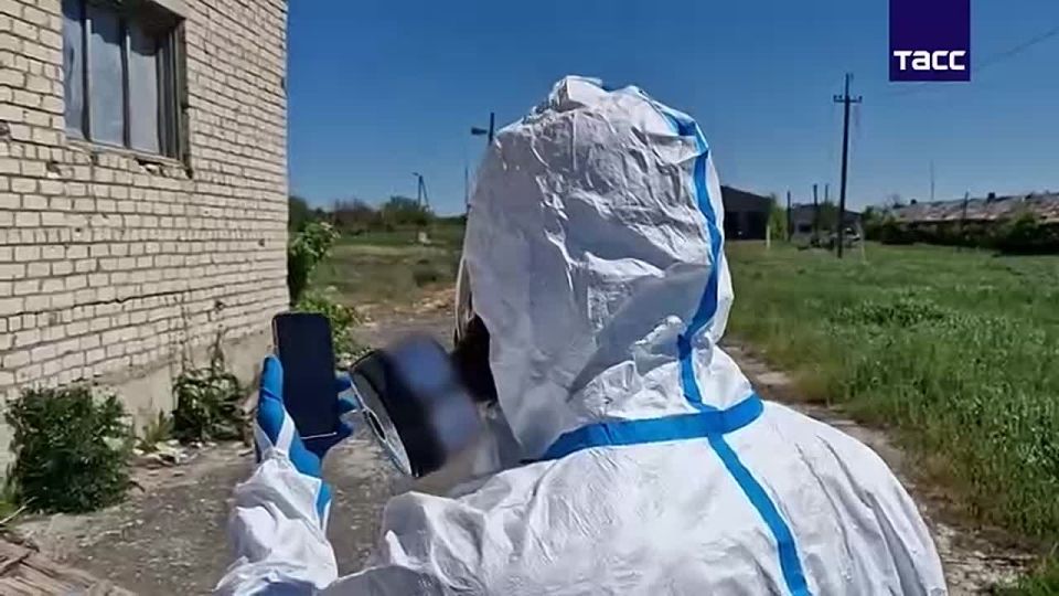 Юлия Витязева: В ДНР обнаружен схрон ВСУ с химическим оружием для сброса с Беспилотников