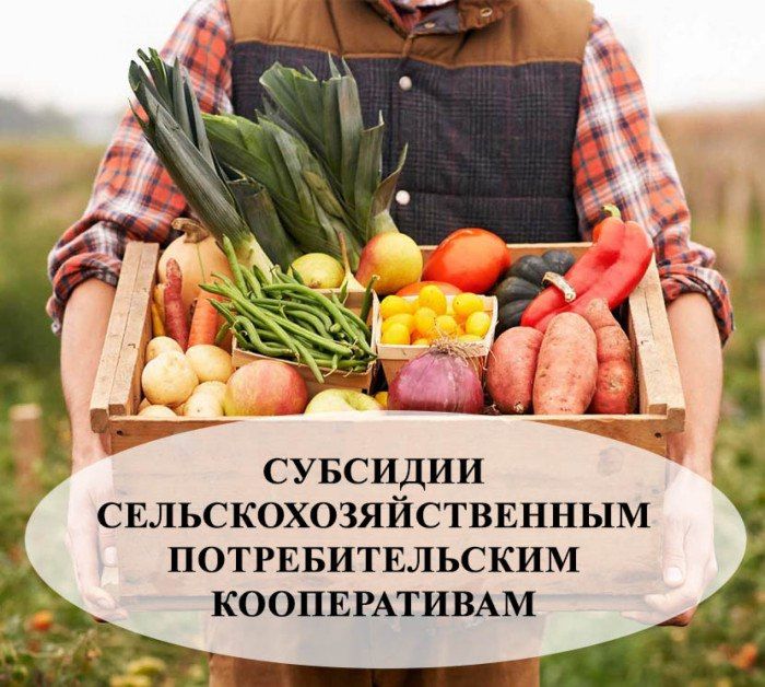 ����� �� ���������� �������� �������� �����������-����������� ���� �������������������� ��������������� ������������ (����)