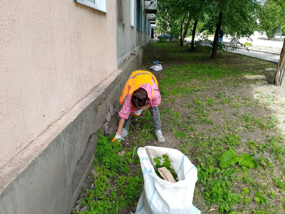 Силами коммунальных предприятий были проделаны работы по наведению чистоты и порядка на территории г. Моспино: