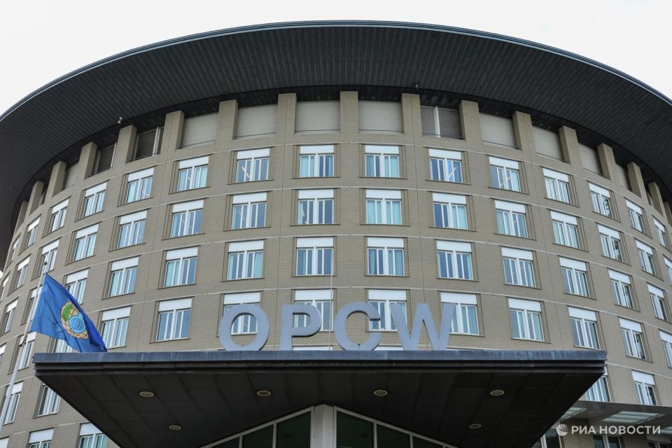 Россия передаст обнаруженные в ДНР образцы химикатов в ОЗХО