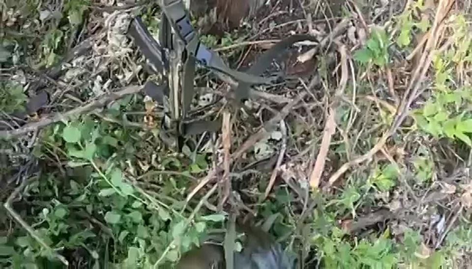 ����� ����������� �� �������� �����������