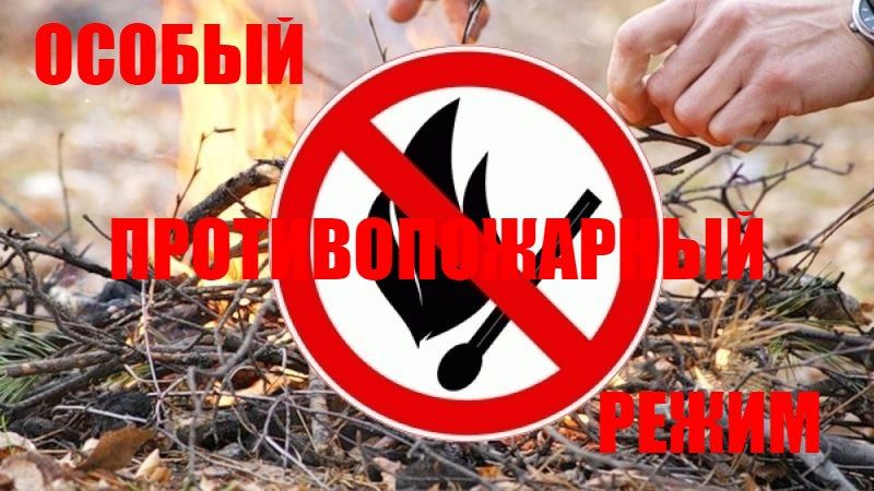 Роман Конев: Об установлении особого противопожарного режима