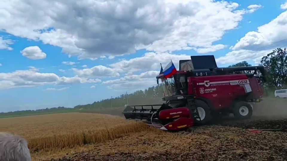 В ДНР стартовала уборочная кампания
