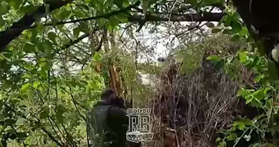 �������� ����: ���������� ����� ������� �������������� ����� �� �������� ���