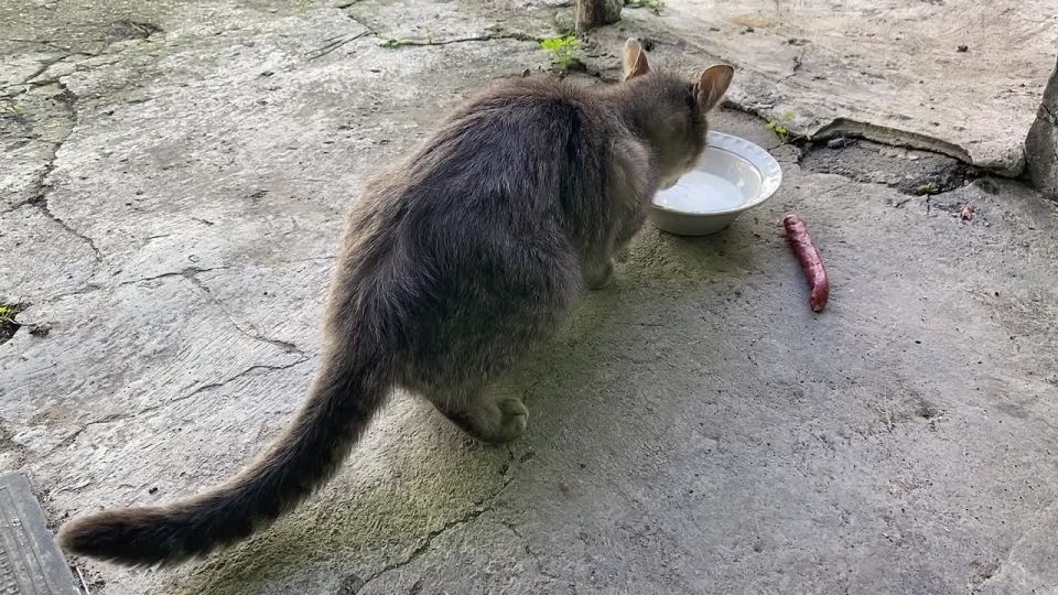 ������� ������: #��� �������� ����. �������� �� "������� ������" - ���� ���, ������� ����� ������� ����� �������� �����