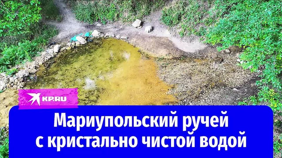���� ������������ �����: ��� �������� � ���������� ������ ����� ������� ������ ����� �� ����� ������ �������� � ���������