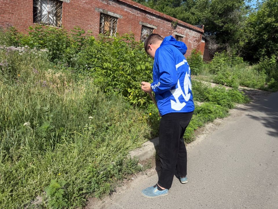 ���� ������: ������ ����� � ����� ����!