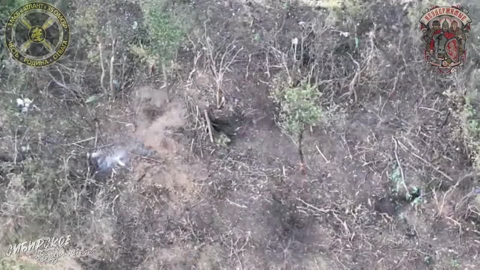� ���� � ���� ����. ���� ��������� ������� ������� ������������ ���������� ����������� � �������� ��������� ������� 44 ���� ��� ���������� �����������