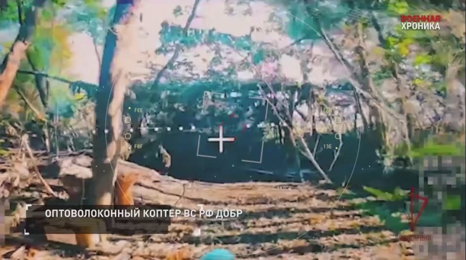 ��������� ��������: ������� ������������. 2 ���� - ������� �� ����