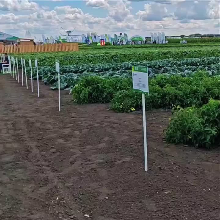 ����� ����������: ������ � ���� ����������� ������� �� ����������, ��� ������������ ���������� ������ � ������ �������������� ��� ����