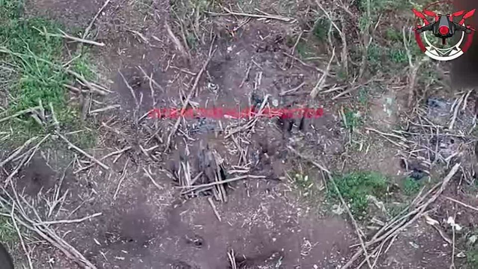 ������� ����������� 25_����� ��� ������ �������� ������ ���