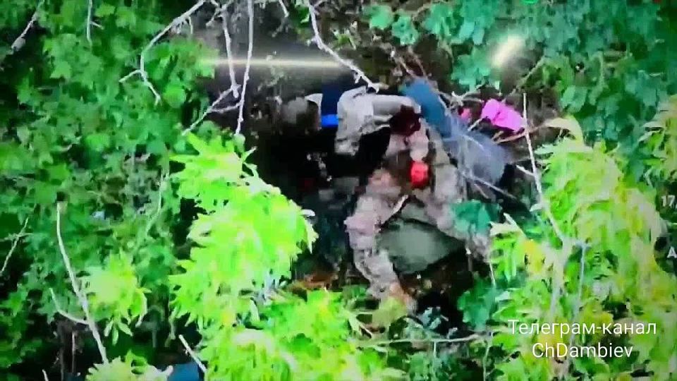 ������ �������: ���� ���������� ����� ������ � ������� ������ ����� ��������� �����, ������ - ���� ������������