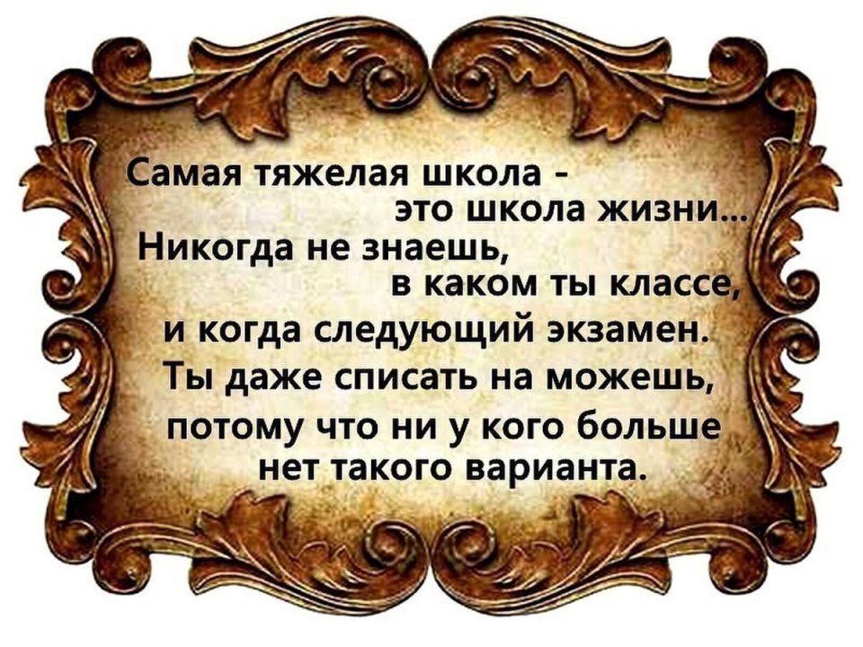 ������ �����. ��������� ���������-24