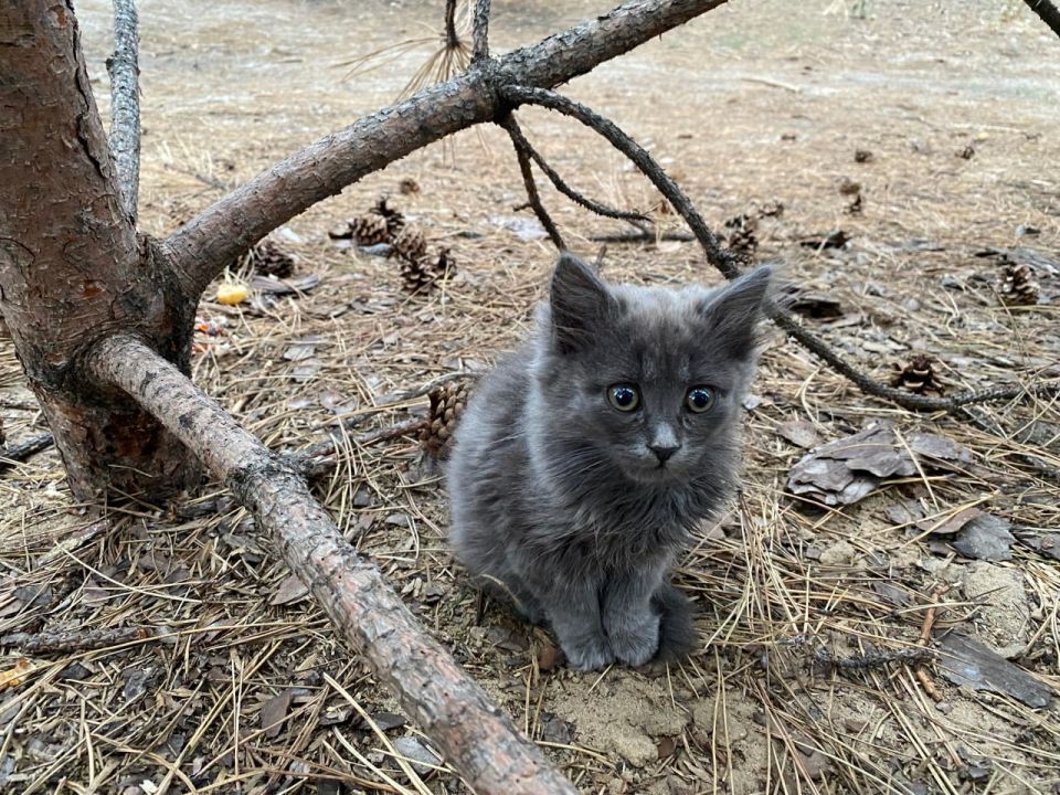 ������� ������: �� ��� �� ����� ��� ��� - �������� � ������ "���� ���"