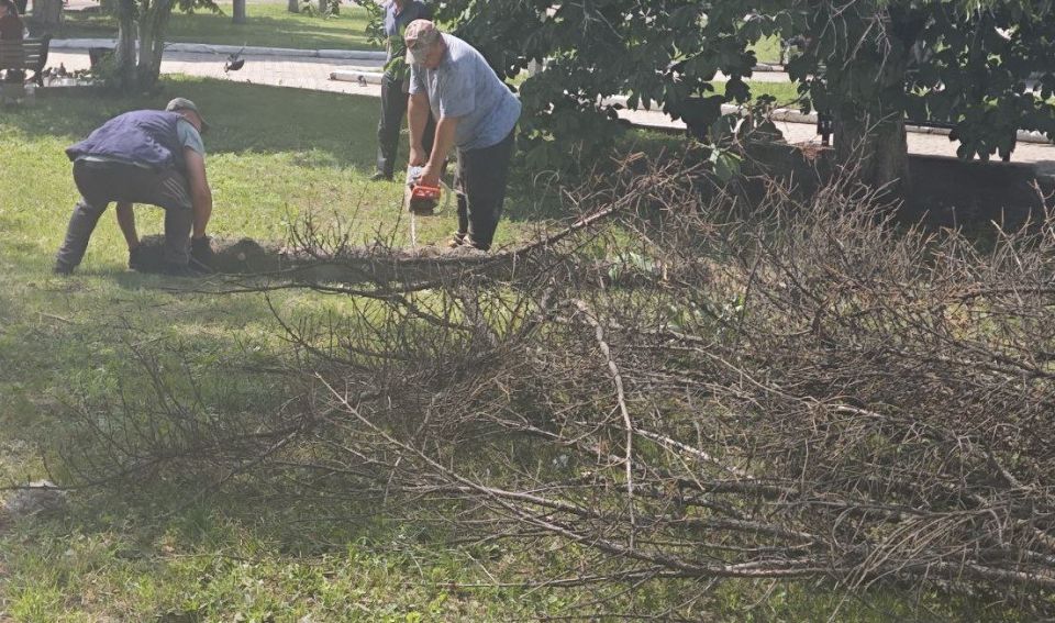 ������ ��������: �������, 4 ����, ����������� ��� "������������" ���� ��������� ������ �� �������� ����� � ������� ��������, ���������� ������������ ������� � ��������������, � ����� �������� ���������� �� ����� �����