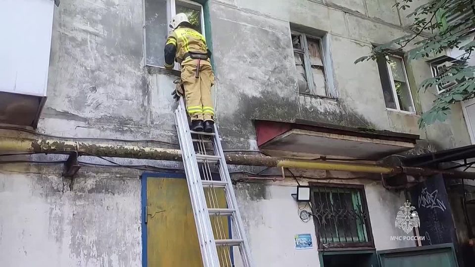 ���������� ��� ������ ������ 85-������ ���������� �. �������