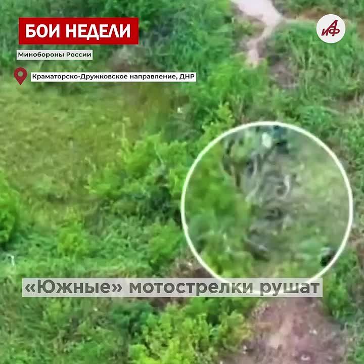 ������ ������. ����� ������ ������ ���������� ������� ������ ��������