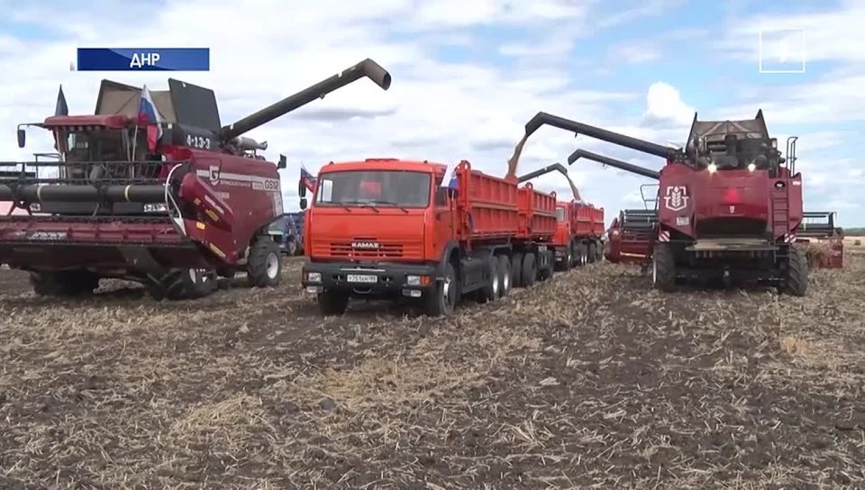 ДНР: от снарядов – к снопам! Республика готовится собрать рекордный урожай