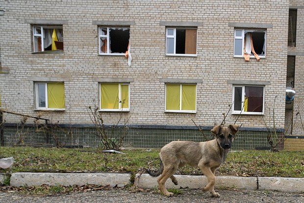 Беженка Воробьева заявила, что ВСУ застрелили на рынке собаку и ее хозяина