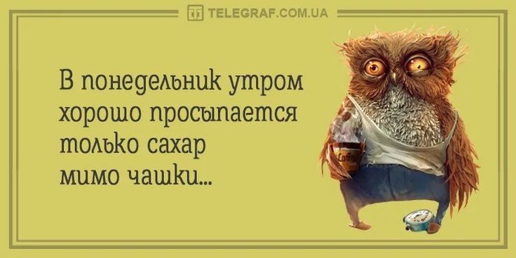 Минутка юмора