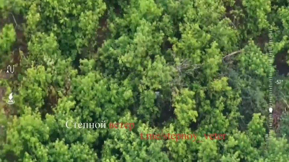 ��������� ����� ��λ: ����� ������ ������� ��� � ������� ����� � ��������������