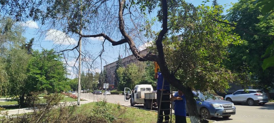 ������ ��������: 7 ���� �� ���������� ���������� ������ ���������� ������ ��������� ������� ����-������� ������������ ���� �� ����������� ������� ���� ��������� ������ �� ���������� ������� ��������� � �����������...