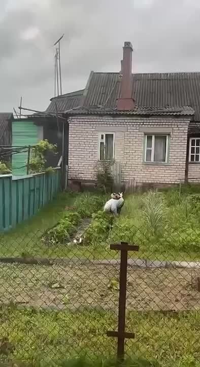 � ������� ����� ������� ������